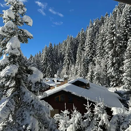 Appartamento La Finestra Sul Brenta - Campiglio